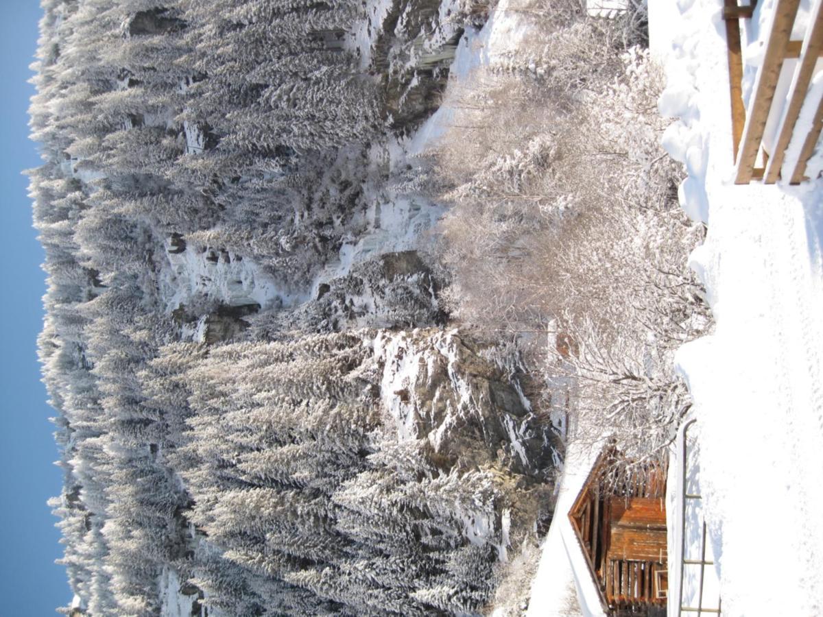 Alpina Appartement Sankt Leonhard im Pitztal Exteriér fotografie