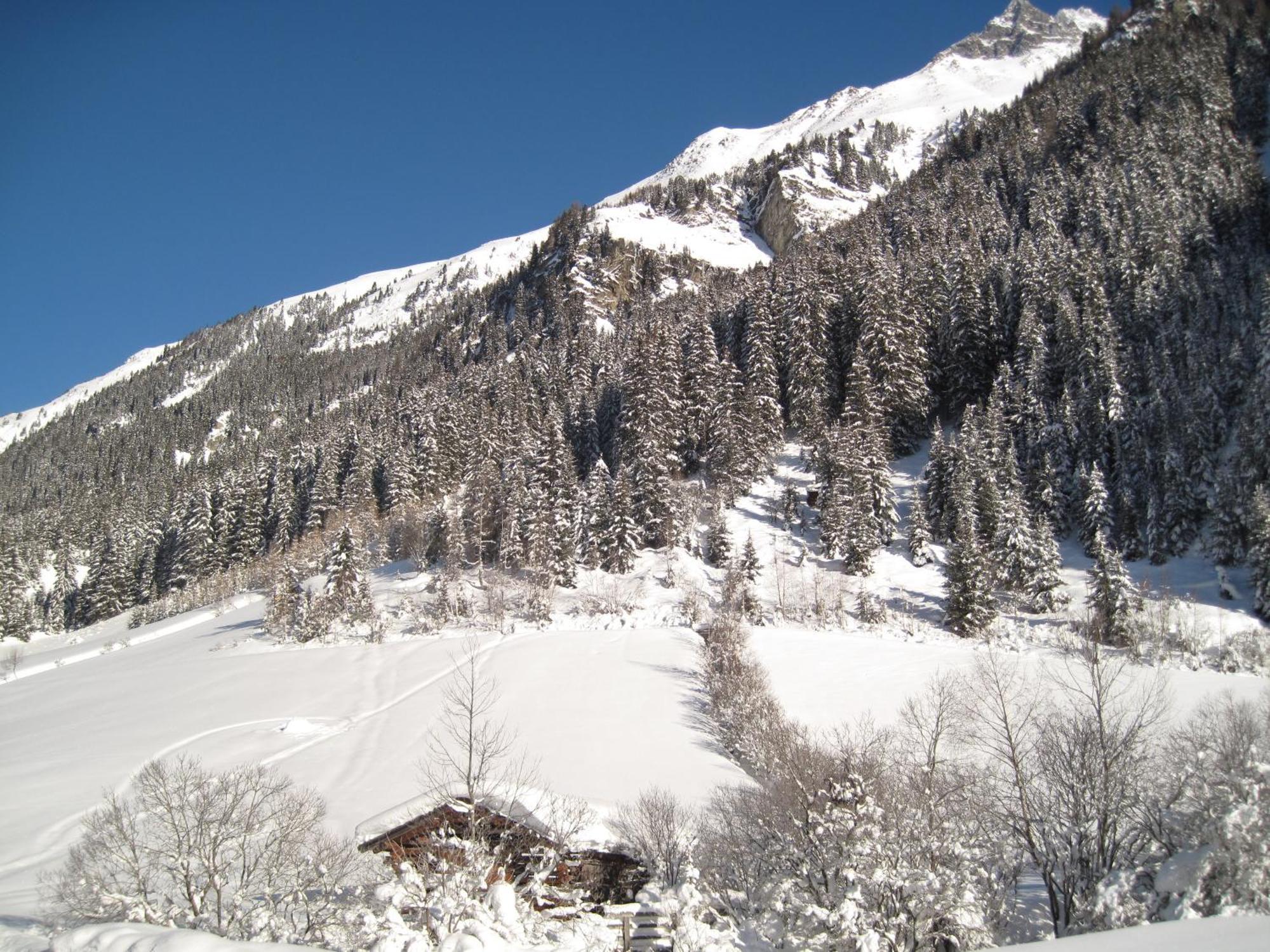 Alpina Appartement Sankt Leonhard im Pitztal Exteriér fotografie